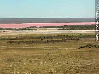 Salina de Península Valdés - Provincia de Chubut - ARGENTINA. Foto No. 3026