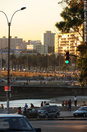 Rambla del Parque Rodó y Playa Ramírez - Departamento de Montevideo - URUGUAY. Foto No. 28189