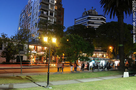 Ellauri street - Department of Montevideo - URUGUAY. Photo #28225