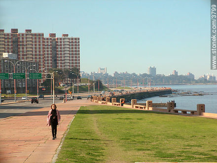  - Departamento de Montevideo - URUGUAY. Foto No. 3799