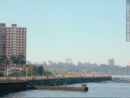  - Departamento de Montevideo - URUGUAY. Foto No. 3801