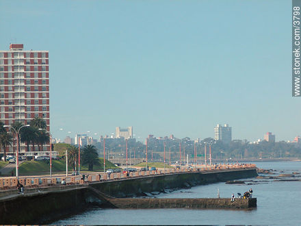  - Departamento de Montevideo - URUGUAY. Foto No. 3798