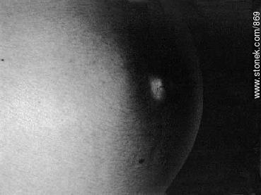 Panza de embarazada -  - IMÁGENES VARIAS. Foto No. 869