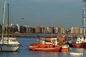  - Department of Montevideo - URUGUAY. Photo #6773