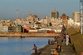  - Department of Montevideo - URUGUAY. Photo #6871