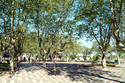 Plaza de Nico Pérez - Departamento de Florida - URUGUAY. Foto No. 7342