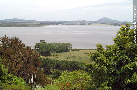 Laguna del Sauce - Departamento de Maldonado - URUGUAY. Foto No. 6567