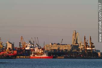 Puerto de Montevideo - Departamento de Montevideo - URUGUAY. Foto No. 7037