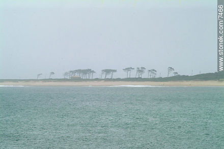 Bahía al oeste de José Ignacio - Punta del Este y balnearios cercanos - URUGUAY. Foto No. 7466