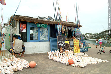Venta de artículos de pesca en el arroyo Maldonado. Caracoles y caracolas. - Punta del Este y balnearios cercanos - URUGUAY. Foto No. 7520