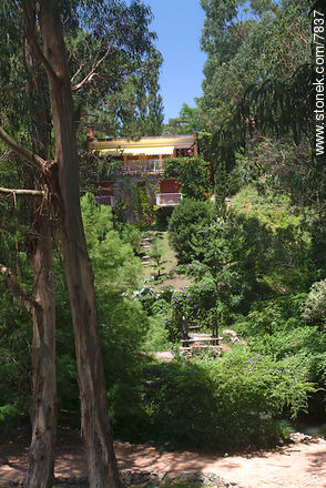 Parque Mancebo en la parada 31 del Camino a la Laguna - Punta del Este y balnearios cercanos - URUGUAY. Foto No. 7837