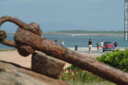  - Punta del Este and its near resorts - URUGUAY. Photo #7852