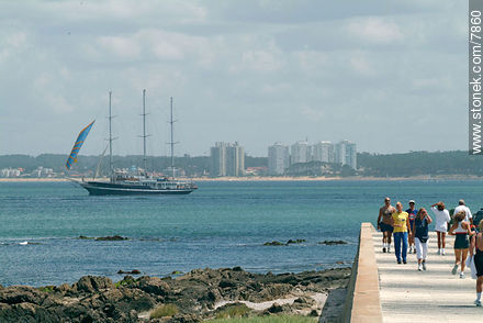 Caminata por la rambla de Punta del Este - Punta del Este y balnearios cercanos - URUGUAY. Foto No. 7860