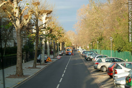 Boulevard du Président Edwards - Region of Alsace - FRANCE. Photo #29033