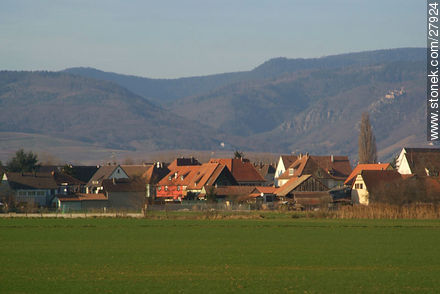 View from routes A35 y E25. - Region of Alsace - FRANCE. Photo #27924