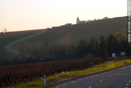 Ruta D1b - Región de Alsacia - FRANCIA. Foto No. 28034