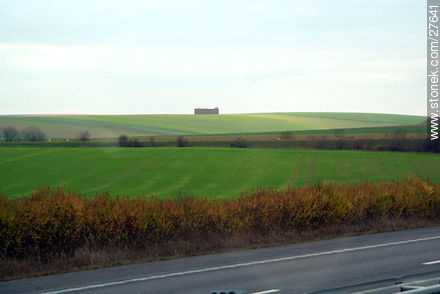 Green field in dept of Champagne-Ardennes -  - FRANCE. Photo #27641