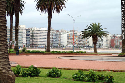  - Department of Montevideo - URUGUAY. Photo #12374