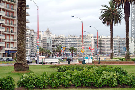  - Department of Montevideo - URUGUAY. Photo #12379