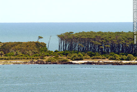 Gorriti Island - Punta del Este and its near resorts - URUGUAY. Photo #16932
