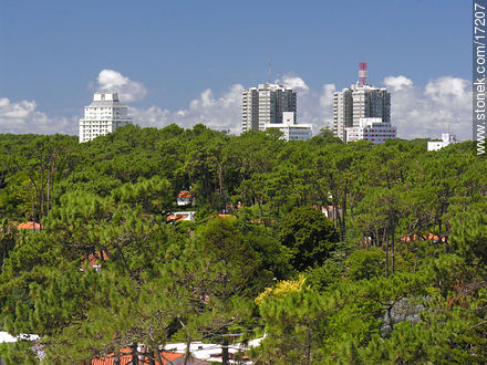 Edificios de la avenida Roosevelt - Punta del Este y balnearios cercanos - URUGUAY. Foto No. 17207