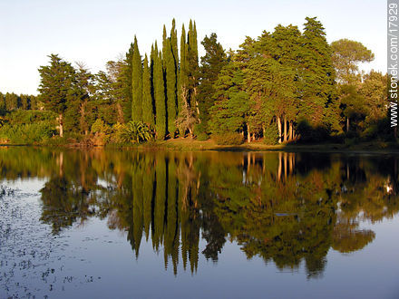 Lago de OSE, Minas - Departamento de Lavalleja - URUGUAY. Foto No. 17929