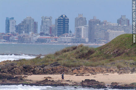  - Punta del Este and its near resorts - URUGUAY. Photo #18414