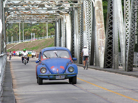 Escarabajo en el puente antiguo - Departamento de Montevideo - URUGUAY. Foto No. 18615