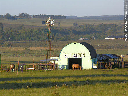 A hut in middle of a field - Lavalleja - URUGUAY. Photo #19258