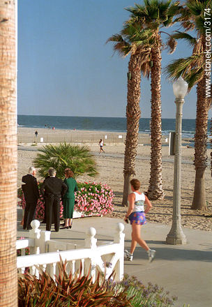 Boardwalk in Santa Mónica, Dogtown -  - USA-CANADA. Photo #3174