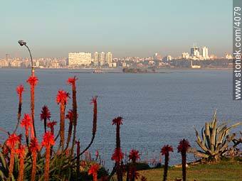  - Department of Montevideo - URUGUAY. Photo #4079