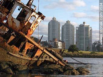  - Department of Montevideo - URUGUAY. Photo #3534