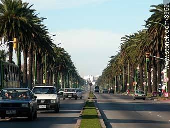 Artigas Boulevard to east - Department of Montevideo - URUGUAY. Photo #3950