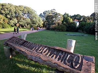 Jardín Botánico - Departamento de Montevideo - URUGUAY. Foto No. 2481