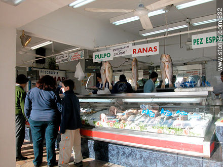 Puestos de venta de pescado en Puerto del Buceo. - Departamento de Montevideo - URUGUAY. Foto No. 832