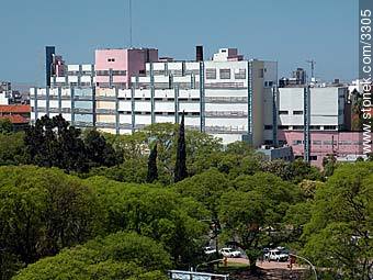 Pereira Rossell hospital - Department of Montevideo - URUGUAY. Photo #3305