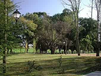Rural Montevideo: Melilla - Department of Montevideo - URUGUAY. Photo #2629