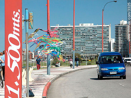 Buceo promenade. - Department of Montevideo - URUGUAY. Photo #3325