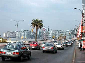 Pocitos promenade. - Department of Montevideo - URUGUAY. Photo #2431