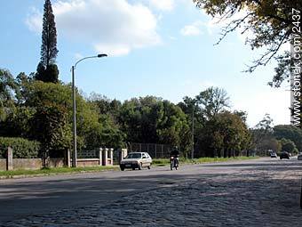 Av. Luis Alberto de Herrera - Departamento de Montevideo - URUGUAY. Foto No. 2437