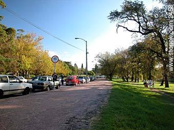  - Departamento de Montevideo - URUGUAY. Foto No. 2458