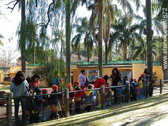 Escolares visitando el zoológico. - Departamento de Montevideo - URUGUAY. Foto No. 672