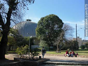 Vista interior del Zoológico Municipal de Villa Dolores. Al fondo el Planetario. - Departamento de Montevideo - URUGUAY. Foto No. 675