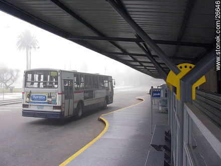 Bus station in Independence square (2005) - Department of Montevideo - URUGUAY. Photo #26646