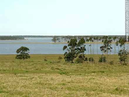 Laguna de José Ignacio - Punta del Este y balnearios cercanos - URUGUAY. Foto No. 26337