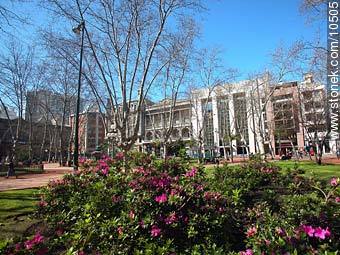 Plaza Constitución - Departamento de Montevideo - URUGUAY. Foto No. 10505