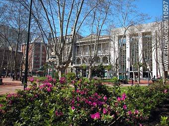 Plaza Constitución - Departamento de Montevideo - URUGUAY. Foto No. 10507