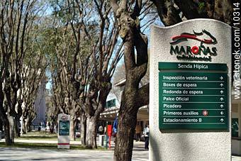  - Department of Montevideo - URUGUAY. Photo #10314
