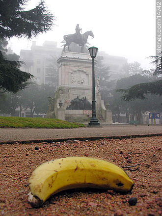 Cáscara de banana en una plaza -  - URUGUAY. Foto No. 14742