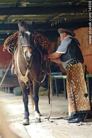 Ensillando el caballo - Departamento de Montevideo - URUGUAY. Foto No. 14906